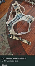 Dog leash
